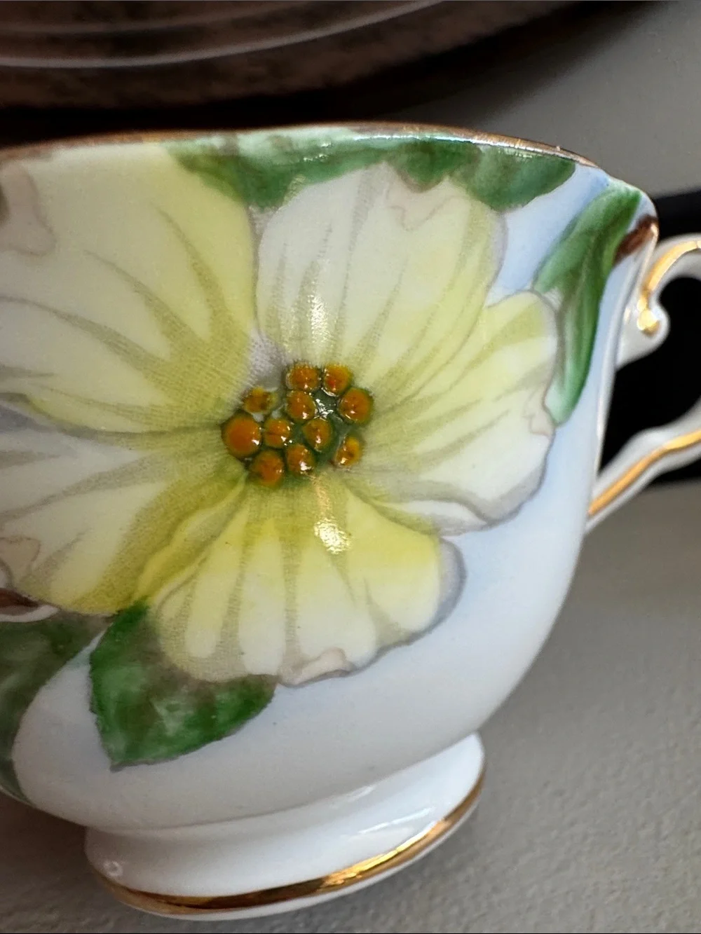 Tuscan Dogwood Fine English Bone China Vintage Tea Cup & Saucer